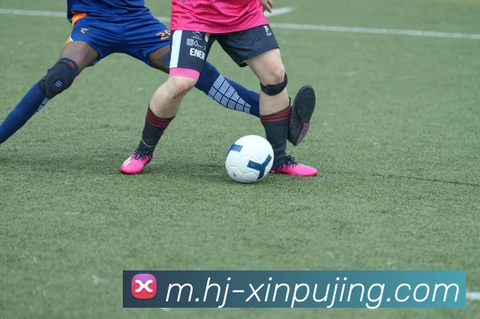 澳门新葡京娱乐服务体系